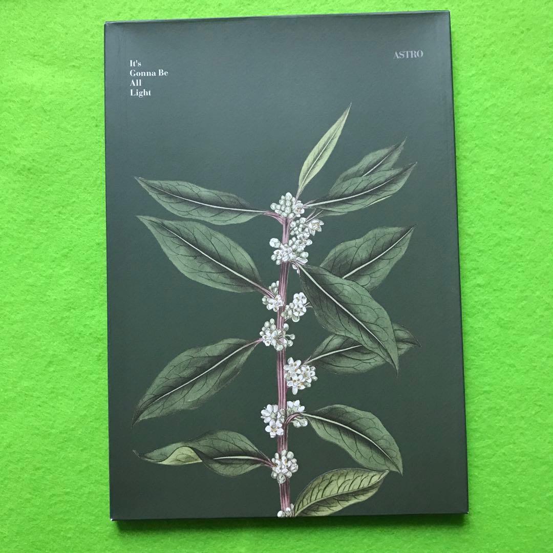 1500/予約済み　　All Light: Vol.1 (Green ver.)